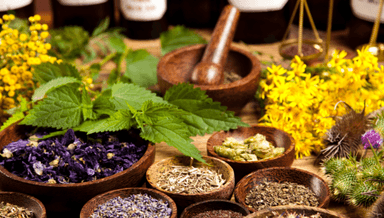 Image for Herbal Wellness First Intake